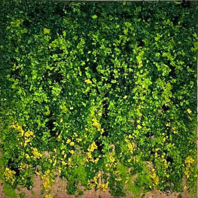 Sayato_Sondra_Segala_S_Green_V_80x80_2023